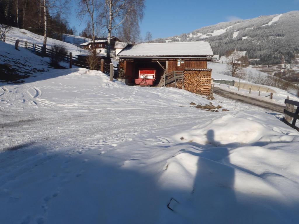 Ferienwohnung Oberbichlgut Flachau Exterior foto