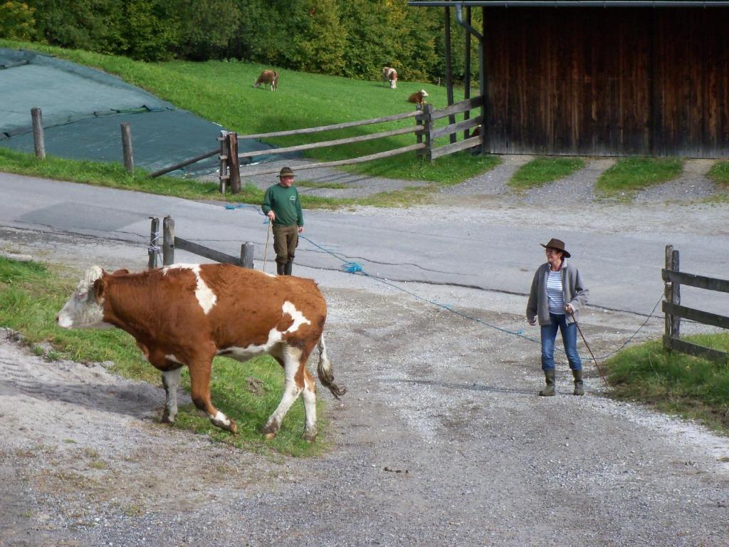 Ferienwohnung Oberbichlgut Flachau Exterior foto