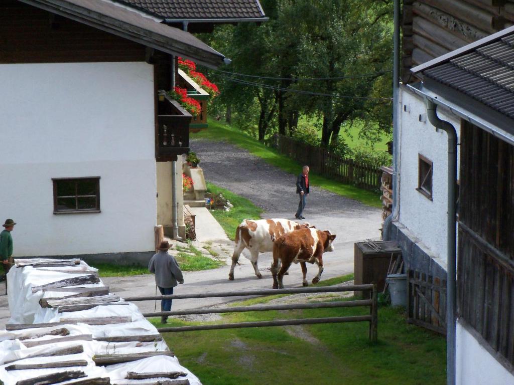 Ferienwohnung Oberbichlgut Flachau Exterior foto